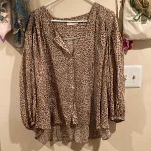 Spell and the Gypsy Top